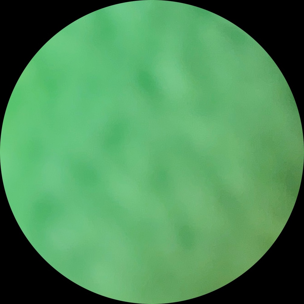 Meet your Posher, Rin